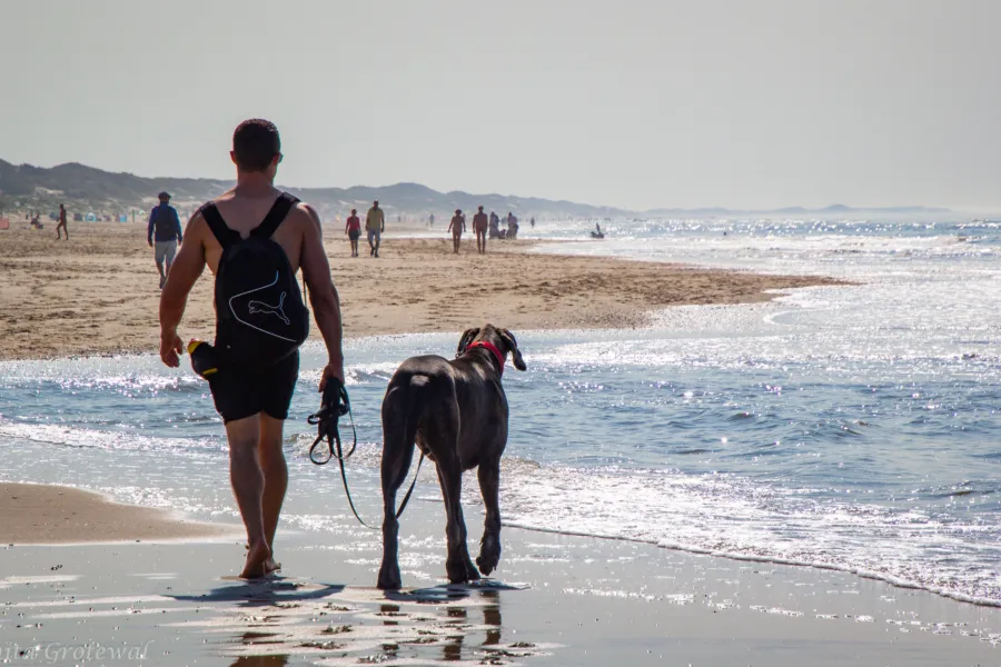 Vakantie met je hond