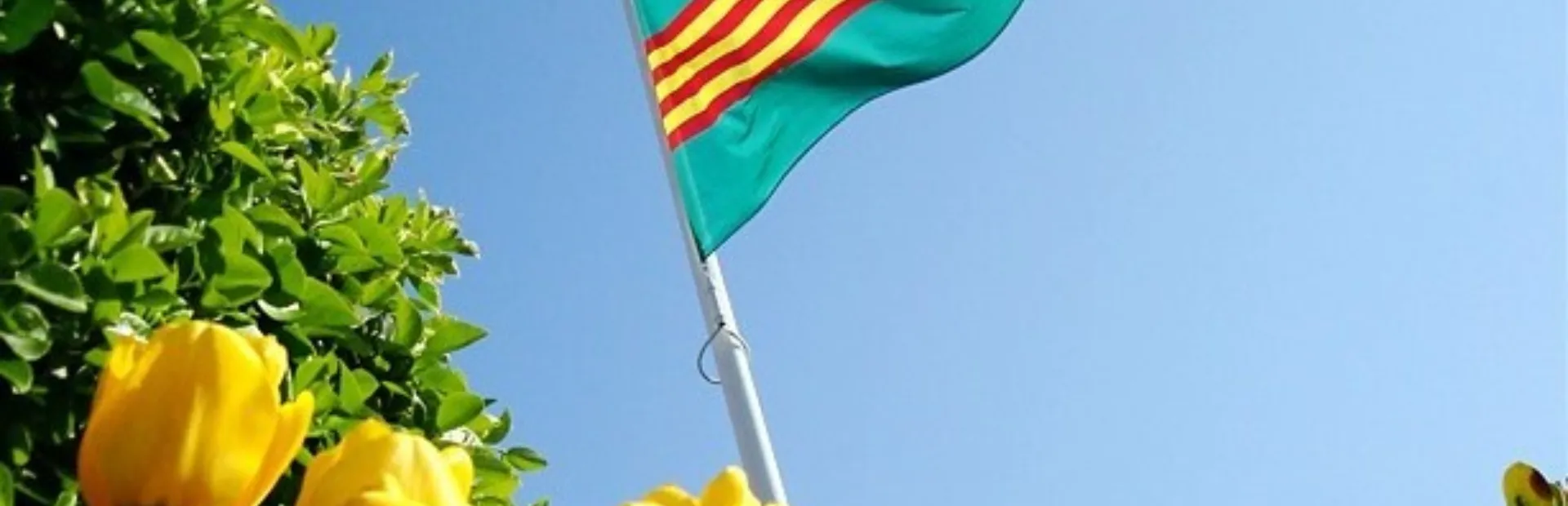 Vlag psi 2