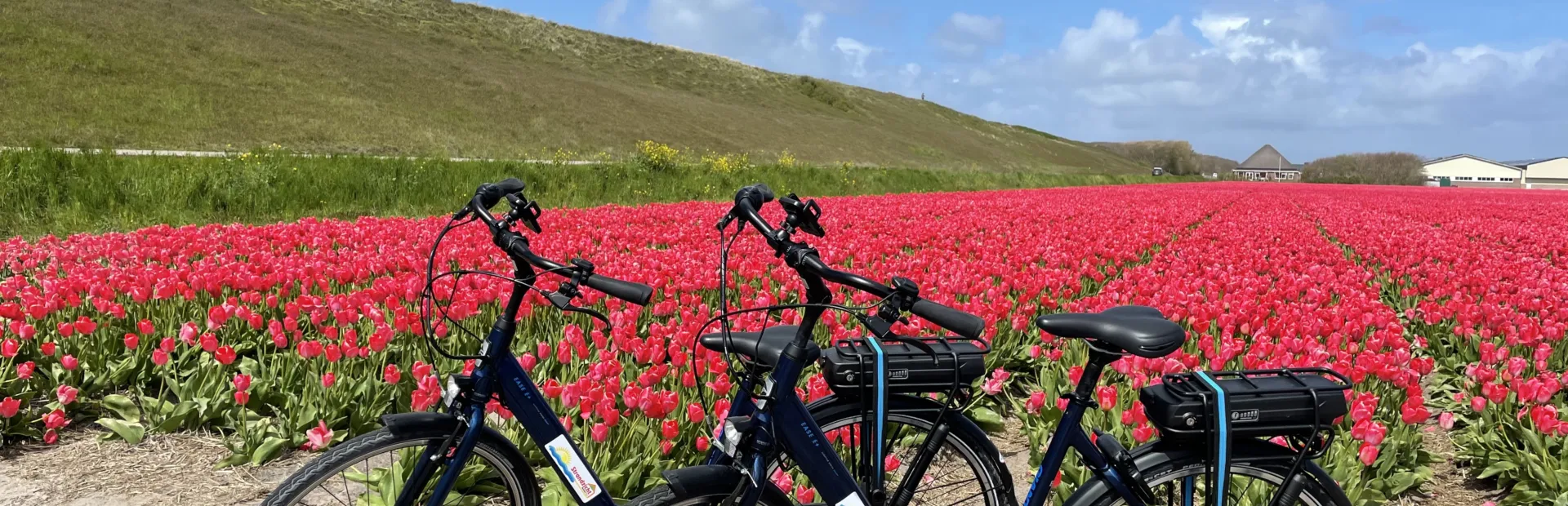 Ontdek de Kop van Noord-Holland op de fiets