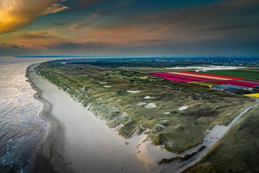 Luchtfoto gekleurde bollenvelden Julianadorp aan Zee