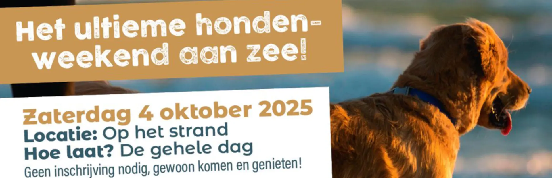 78bffeb7 4252 4ff3 8cce 5955db46af0e dogtober at sea 960x640
