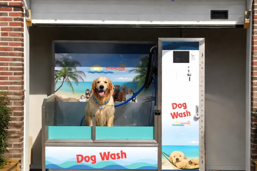 Dogwash Strandslag